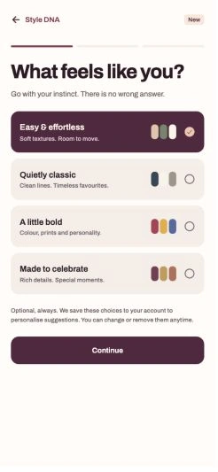Four visual style choices, each with a palette and description